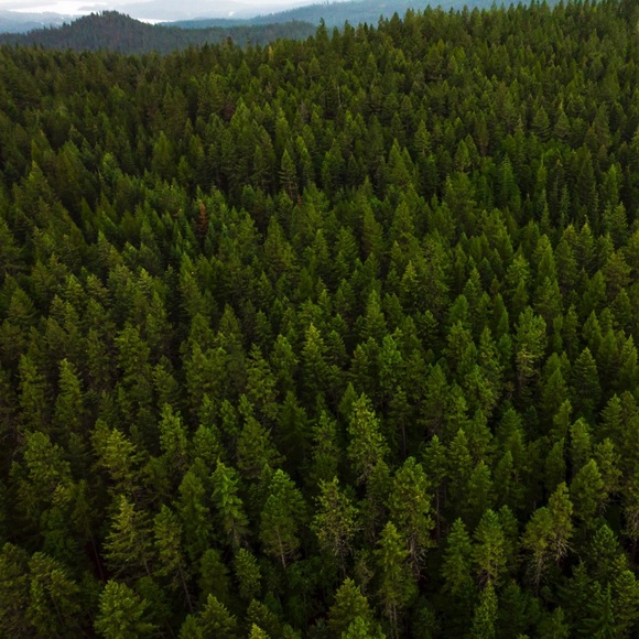 | W E L C O M E | - Picture 4 of 7